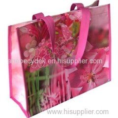 Pp Woven Laminated Bag