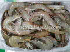 live frozen and dried shrimps crabs and lobsters