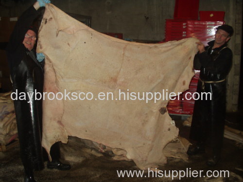 animal hides and skins