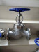 stainless steel gate valve