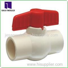 PPR Ball Valve Mould