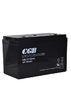 Longest Lasting 12V 100ah Deep Cycle Battery Rechargeable for Solar System