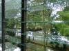 Frosted Tempered Louver Glass