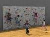 5 - 12 Years Old Kids Climbing Wall Outdoor With Plastic Slide
