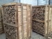 Baltic Birch Firewood in boxes and sacks