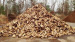 Baltic Birch Firewood in boxes and sacks