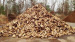 High Quality Baltic Birch Firewood in boxes and sacks