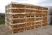 Baltic Birch Firewood in boxes and sacks