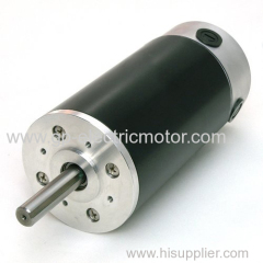 Customize Electric Brushless DC Motor