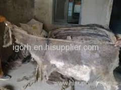 DONKEY HIDES DONKEY SKIN CROCODILE SKIN COW HIDES