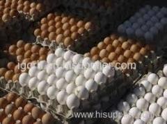 FRESH TABLE EGGS FARM FRESH WHITE AND BROWN