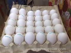 WHITE AND BROWN TABLE EGGS FARM FRESH