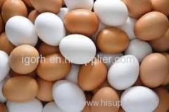 WHITE AND BROWN TABLE EGGS FARM FRESH