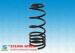 Black Alloy Steel Pigtail Rear Suspension Coil Springs For Cars / Racing