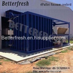 Betterfresh Mushroom salad Lettuce vacuum cooler precooling machine for keeping fresh