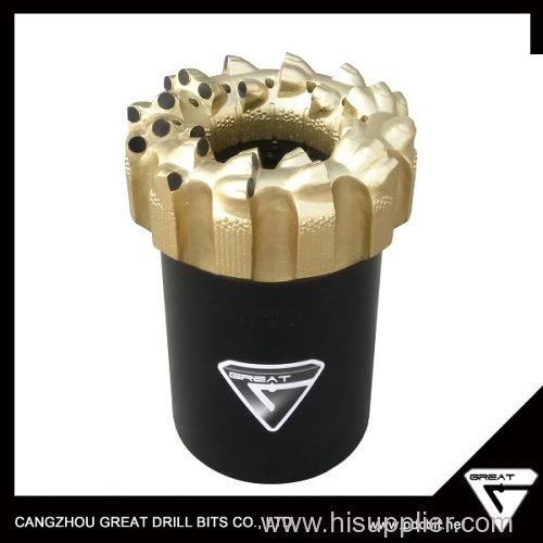 API Oil Well PDC Drill Bit