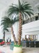 High simulation Artificial Green Leaves Mall decor Artificial Palm Trees