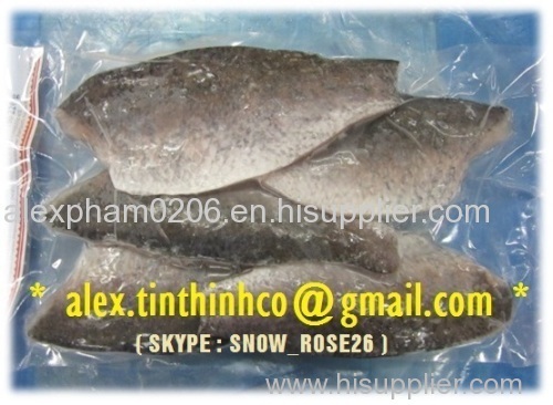 Frozen Barramundi Fillet Portion Skinon