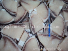 Fresh Frozen Indian Markerel / Blue Shark