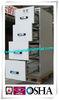 Safety Fire Rated File Cabinets With Separately Mechanical Lock For Laboratory