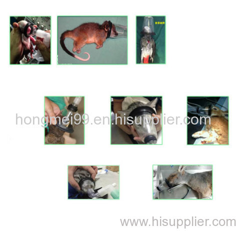 Veterinary Anesthesia Face Masks for various Animals when operating anesthetic operation