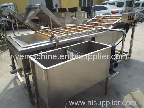 Fruit washing machine/vegetable washer