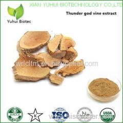 thunder god vine extract thunder god vine root extract thunder god vine extract powder