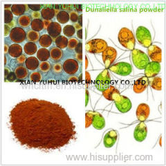 Anti cancer eye protecting Natural Salt algae extract salt algae powder