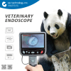 Best Quality Veterinary Industrial Endoscope Camera On Sell