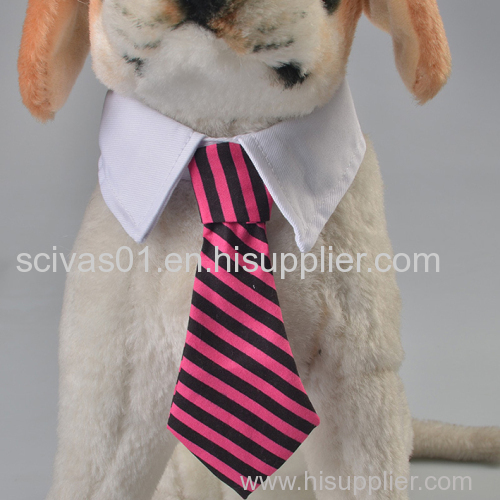 Gentleman Look Pet Tie