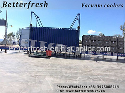 Asia Fresh Produce Vacuum Cooler 1 Pallet-24pallets