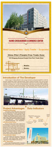 Integrated Plaza Within China's Free Trade Zone for Global Leasing and Sale [China (Mainland)]