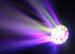Entertainmnet Lighting 19x15W Bee Eyes Led Beam Moving Head Zoom