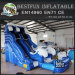 Mini water dolphin inflatable pool slide