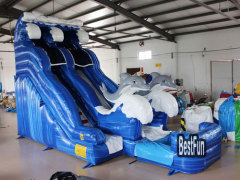 Dolphin Inflatable Water Slide with pool