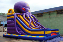 Octopus Large Plastic Water Slide For Sale