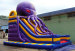 Mega Inflatable octopus combo slide