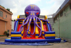 Octopus Large Plastic Water Slide For Sale