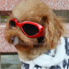 Pet Fashion Sunglasses pet