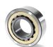 Original FAG SKF NSK NTN Koyo NACHI Cylindrical Roller Bearing