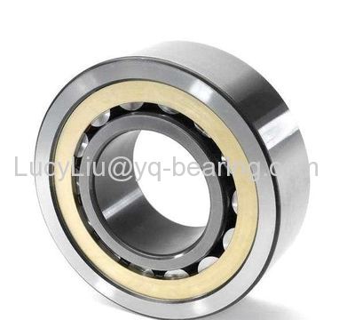 Original FAG SKF NSK NTN Koyo NACHI Cylindrical Roller Bearing