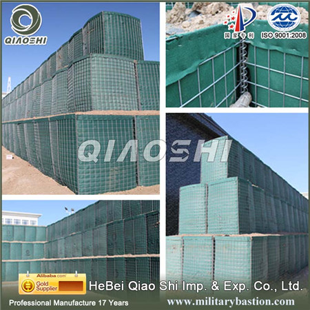 Hebei qiaoshi import export co.,ltd