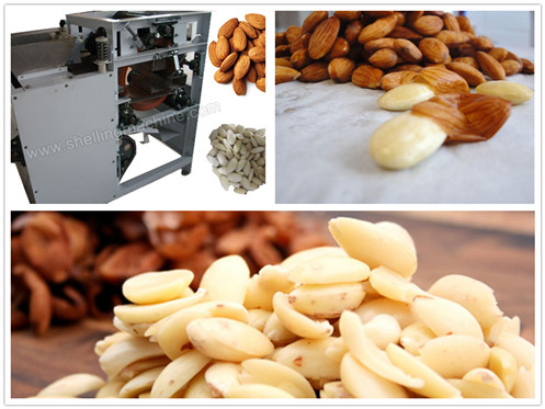 Almond Peeling Machine(Wet type)