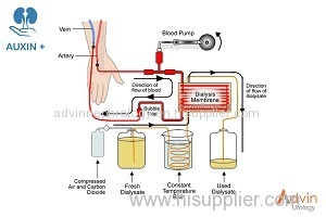 Auxin+ Haemodialysis dry powder
