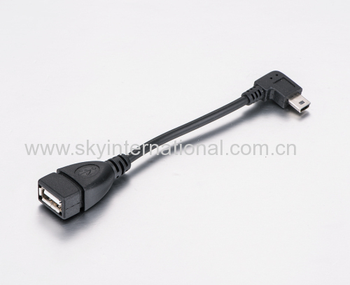 USB Female to Mini USB Female 10cm long