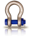 Color painted screw pin anchor shackle with high quality