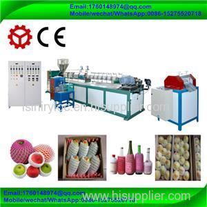 epe polythene foaming fruit vegetable glass bottle packing protect net mesh making machine