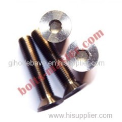 Titanium Flat Head Slotted Machine Bolts