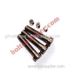 Titanium Flat Head Slotted Bolts