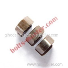 Titanium Heavy Hex Nuts